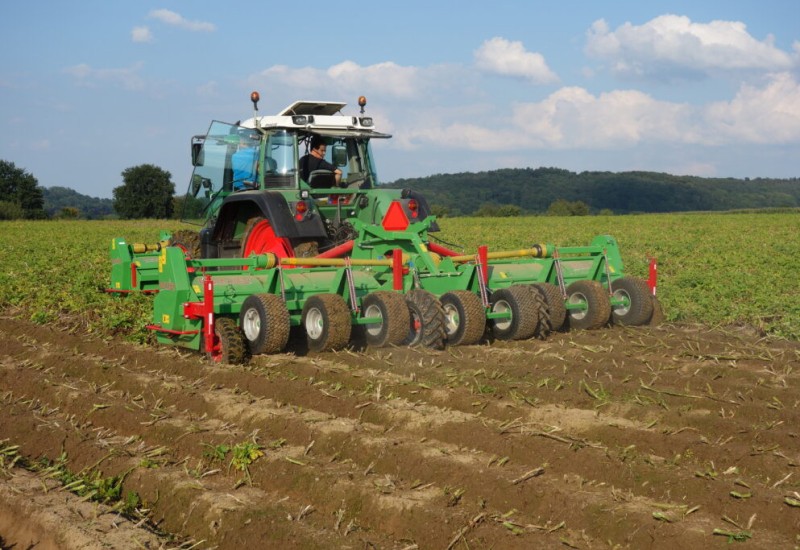 baselier-8lkb-haulm-topper-1024x683-1698929468TbDTq.jpg
