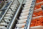 Dosing-flaps-10.jpg