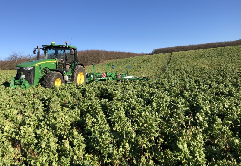 Model-3009NT---Cover-Crops---Saxony.jpg
