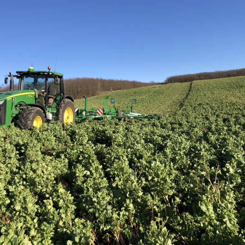 Model-3009NT---Cover-Crops---Saxony.jpg